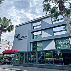 Falcon 1511